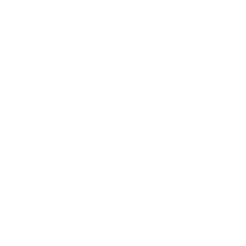 consulting Logo